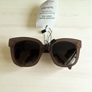CELINE Women' Light Taupe Oversized Sunnies Sunglasses